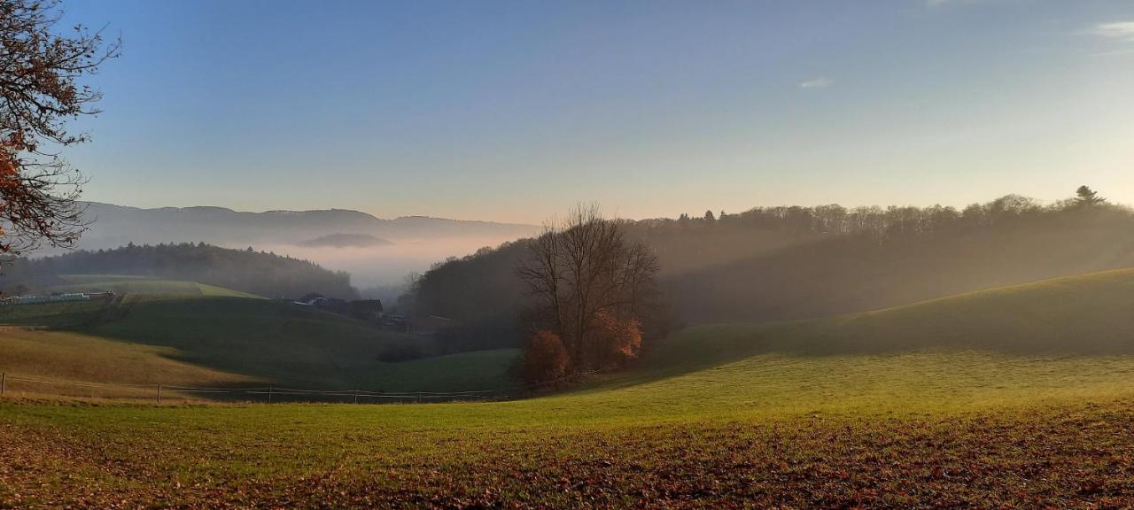 Ferienwohnung Dorfzeit Moerlenbach ภายนอก รูปภาพ